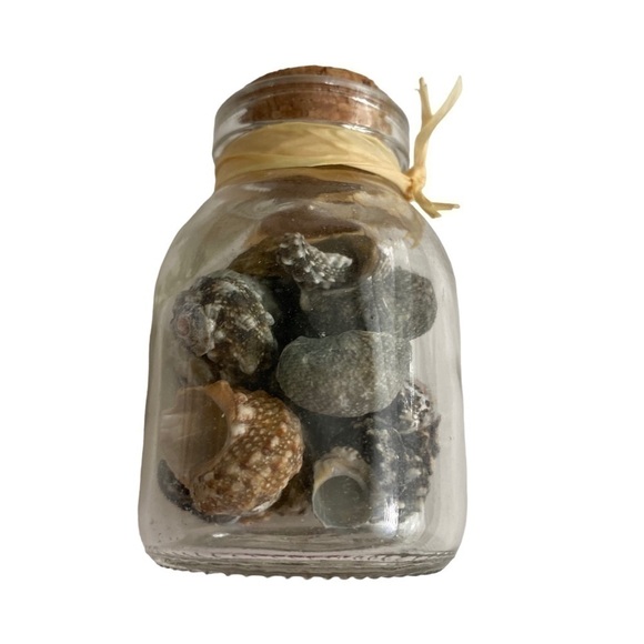 Other - Seashells Mini decorations bottle